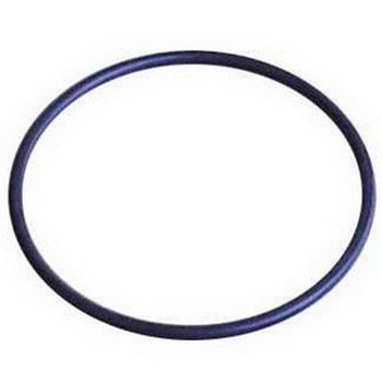 Aqua-Pure 68898-32 Whole House Filter O-Ring