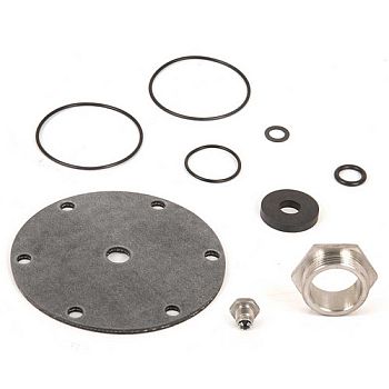 Watts LF25AUB-RK 1-1/4-inch Repair Kit (0864944)